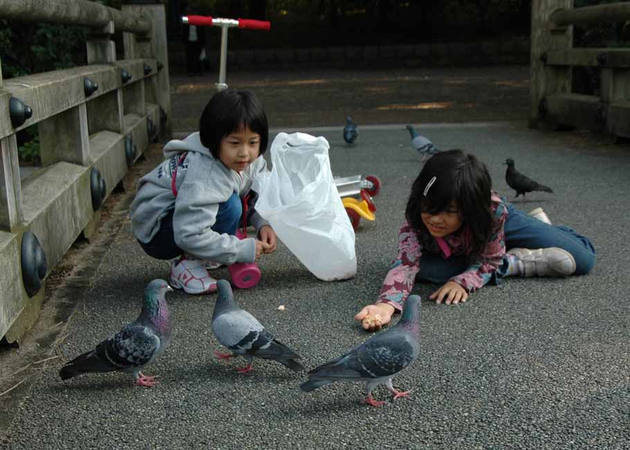Kyoto_Imperial_Gardens