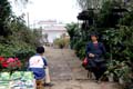 Wuhan_River_Market