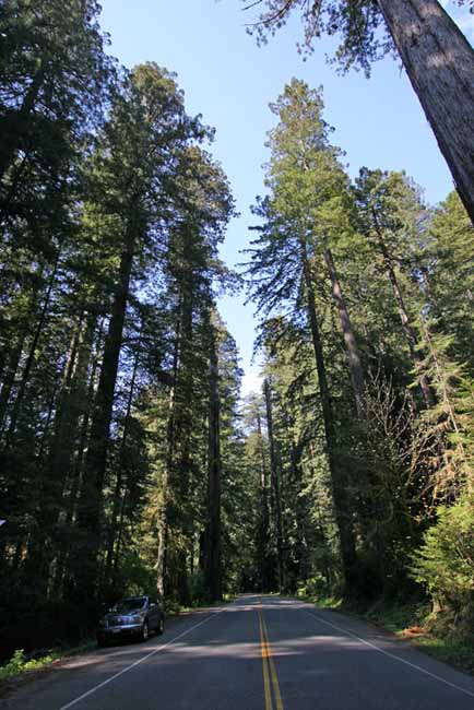 California010