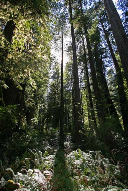 California012