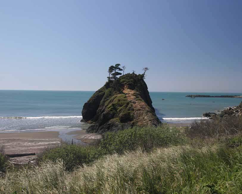 California020