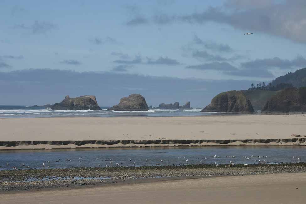 Oregon031