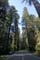 California010