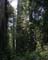 California011