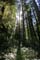 California012