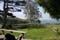 California016