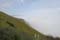 California018