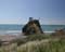 California020