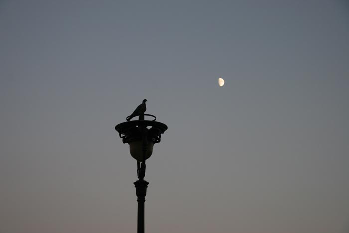 25_View_From_Montmartre