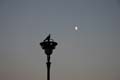 25_View_From_Montmartre