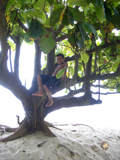 15_Ipanema_Boy_In_Tree
