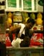 06_Juice_Man