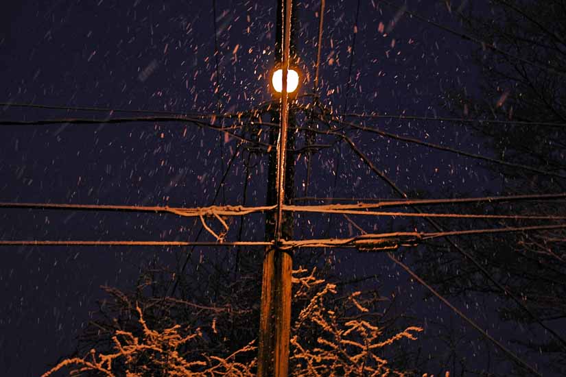 Winter011