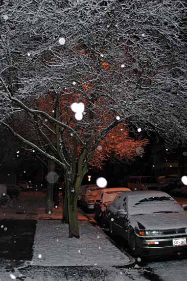 Winter013