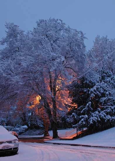 Winter038