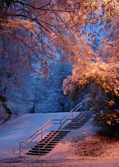 Winter040