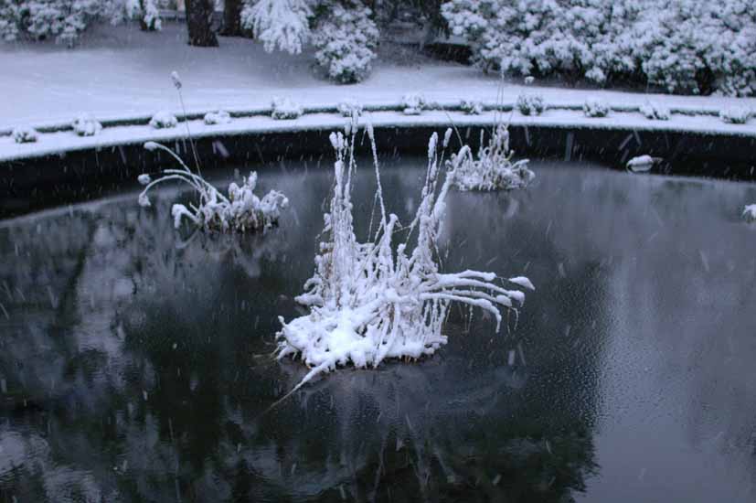 Winter054