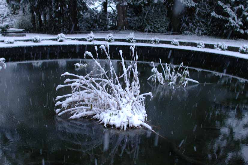 Winter060