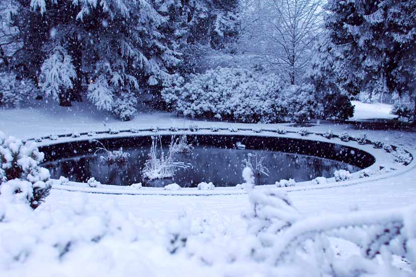 Winter064