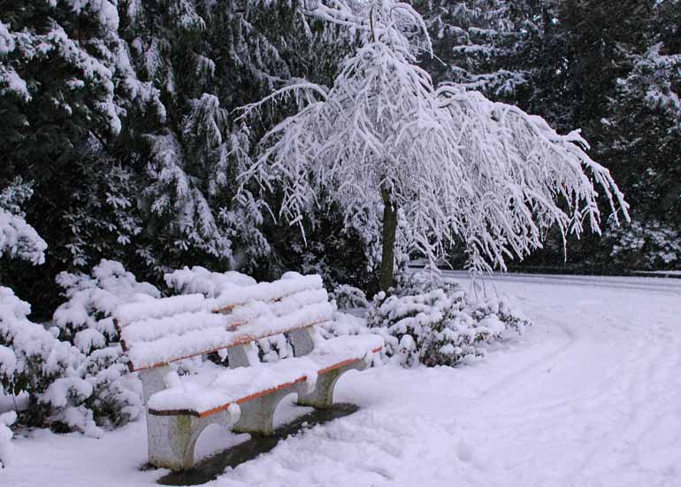 Winter070