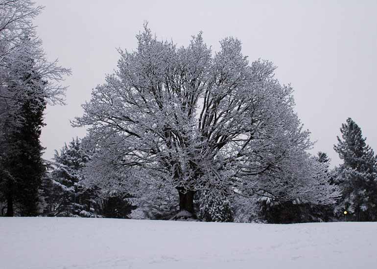 Winter089