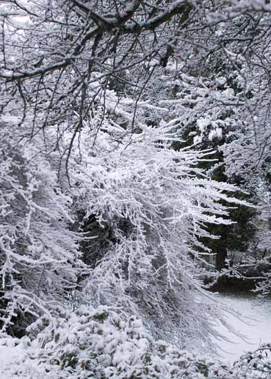Winter094