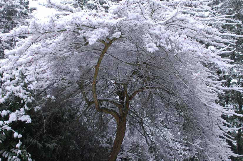 Winter095