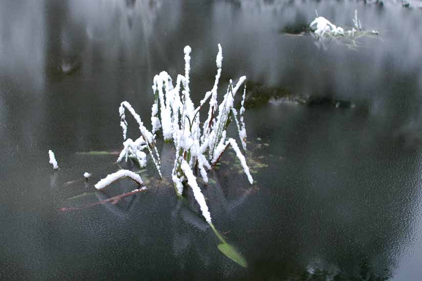 Winter106