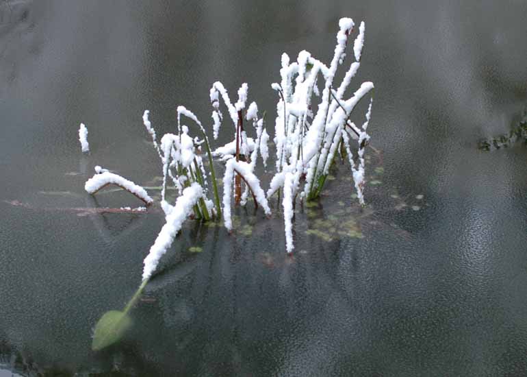 Winter111