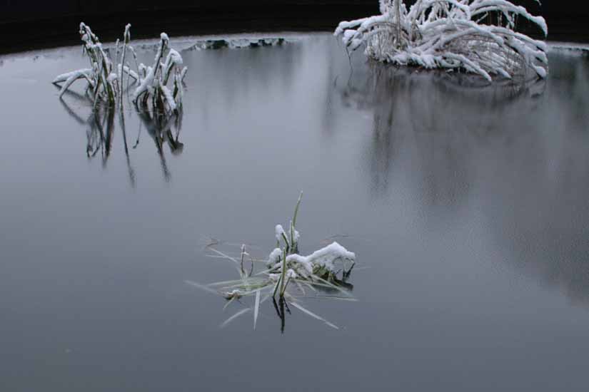 Winter114