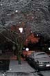 Winter013