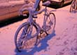 Winter027
