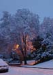 Winter038