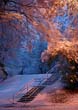 Winter040