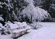 Winter070