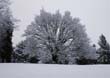 Winter089
