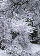 Winter094