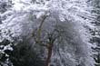 Winter095