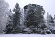 Winter101