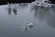 Winter114